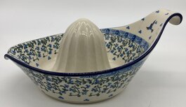 Sinaasappel / grapfruit pers bird