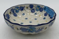 Gewelfde kom blauwe viool